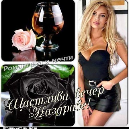 Къща За Гости "Черната Роза" Bŭlgarevo Eksteriør billede